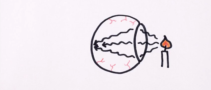 Illustration for article titled Why Squinting Helps You See Better